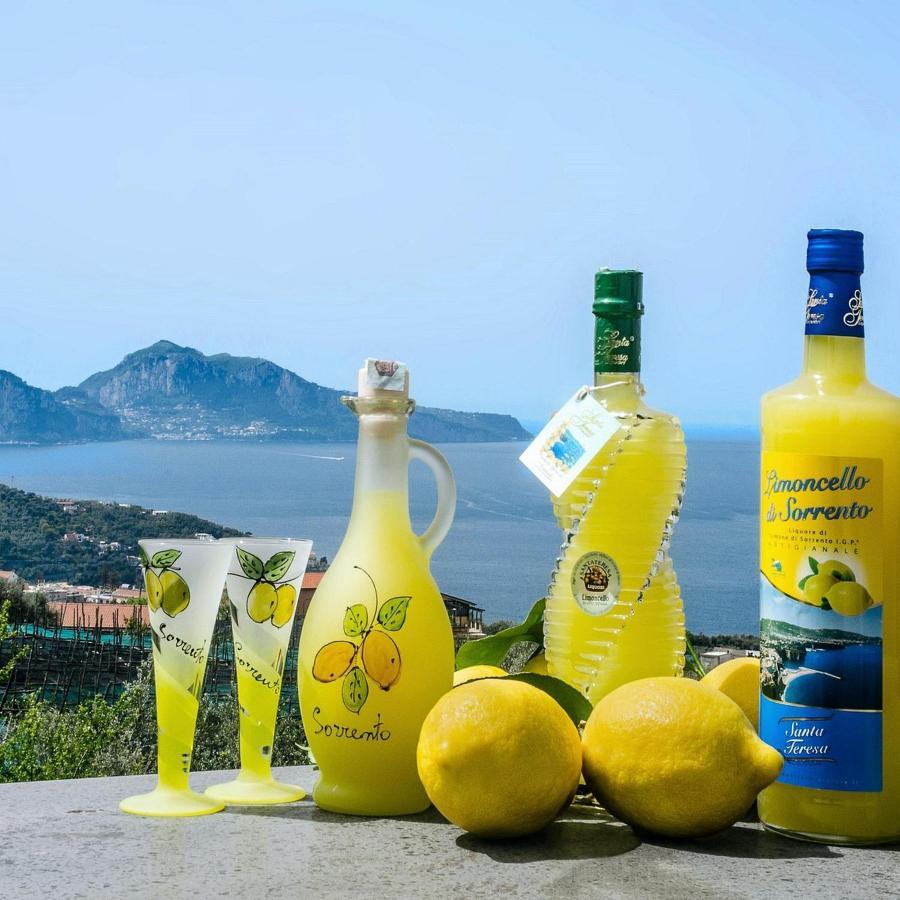 B&B Mamma Sorrento Holidays ภายนอก รูปภาพ